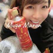 ヒメ日記 2025/04/23 09:30 投稿 まろん 無我（むが）