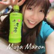 ヒメ日記 2025/05/23 12:42 投稿 まろん 無我（むが）