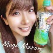 ヒメ日記 2025/06/09 09:36 投稿 まろん 無我（むが）