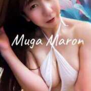 ヒメ日記 2025/06/16 10:30 投稿 まろん 無我（むが）