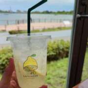 ヒメ日記 2025/06/19 10:31 投稿 まろん 無我（むが）