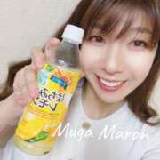 ヒメ日記 2025/06/30 09:38 投稿 まろん 無我（むが）