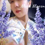 ヒメ日記 2025/07/09 09:48 投稿 まろん 無我（むが）