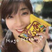 ヒメ日記 2025/07/14 20:23 投稿 まろん 無我（むが）