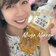 ヒメ日記 2025/07/15 21:10 投稿 まろん 無我（むが）