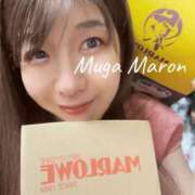 ヒメ日記 2025/07/19 10:31 投稿 まろん 無我（むが）