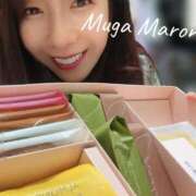 ヒメ日記 2025/07/26 09:38 投稿 まろん 無我（むが）