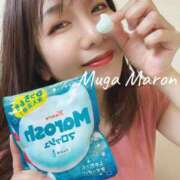 ヒメ日記 2025/07/27 09:18 投稿 まろん 無我（むが）