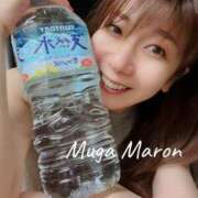 ヒメ日記 2025/08/20 10:30 投稿 まろん 無我（むが）