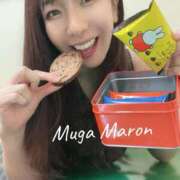 ヒメ日記 2025/09/17 15:42 投稿 まろん 無我（むが）