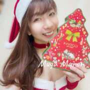 ヒメ日記 2025/12/25 21:41 投稿 まろん 無我（むが）