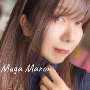 まろん 出勤♪ 無我（むが）