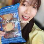 ヒメ日記 2026/02/14 10:30 投稿 まろん 無我（むが）