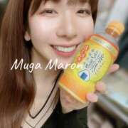 ヒメ日記 2026/02/23 10:42 投稿 まろん 無我（むが）