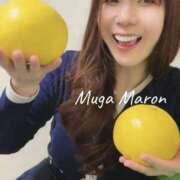 ヒメ日記 2026/03/16 10:30 投稿 まろん 無我（むが）