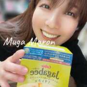 ヒメ日記 2026/03/21 19:02 投稿 まろん 無我（むが）