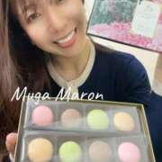 ヒメ日記 2026/03/28 10:31 投稿 まろん 無我（むが）