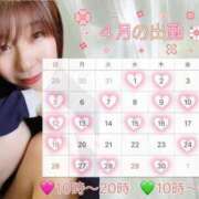 ヒメ日記 2026/03/29 15:38 投稿 まろん 無我（むが）