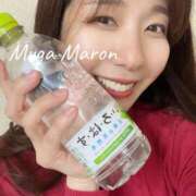 ヒメ日記 2026/03/30 09:27 投稿 まろん 無我（むが）