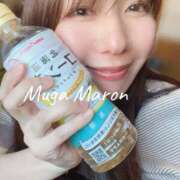 ヒメ日記 2026/04/05 09:27 投稿 まろん 無我（むが）