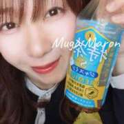 ヒメ日記 2026/04/08 10:30 投稿 まろん 無我（むが）