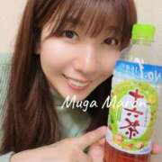 ヒメ日記 2026/04/11 10:32 投稿 まろん 無我（むが）