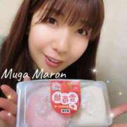 ヒメ日記 2026/04/12 09:38 投稿 まろん 無我（むが）