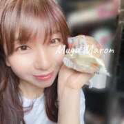 ヒメ日記 2026/04/16 09:30 投稿 まろん 無我（むが）