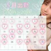 ヒメ日記 2026/04/17 17:02 投稿 まろん 無我（むが）