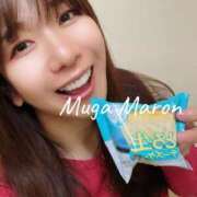 ヒメ日記 2026/04/25 09:31 投稿 まろん 無我（むが）