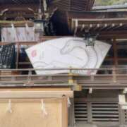 ヒメ日記 2025/01/31 08:29 投稿 かこ 奥鉄オクテツ大阪