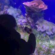 ヒメ日記 2026/01/14 14:51 投稿 そな スピードエコ京橋店