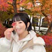 ヒメ日記 2024/12/12 17:37 投稿 若林 ANECOTE