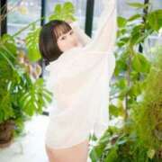 ヒメ日記 2025/03/01 08:12 投稿 若林 ANECOTE