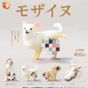 ヒメ日記 2025/03/03 23:54 投稿 若林 ANECOTE