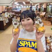 ヒメ日記 2025/03/08 08:15 投稿 若林 ANECOTE