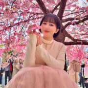 ヒメ日記 2025/03/10 20:33 投稿 若林 ANECOTE