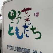 ヒメ日記 2025/03/12 23:50 投稿 若林 ANECOTE