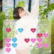 ヒメ日記 2025/03/13 23:58 投稿 若林 ANECOTE