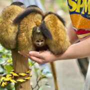 ヒメ日記 2025/03/17 22:24 投稿 若林 ANECOTE