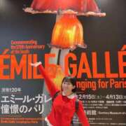 ヒメ日記 2025/04/12 12:45 投稿 若林 ANECOTE