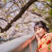 ヒメ日記 2025/04/13 08:15 投稿 若林 ANECOTE