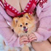 ヒメ日記 2025/04/20 21:00 投稿 若林 ANECOTE