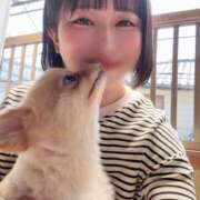 ヒメ日記 2025/04/23 09:48 投稿 若林 ANECOTE