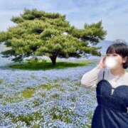 ヒメ日記 2025/05/03 12:03 投稿 若林 ANECOTE