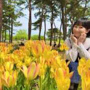 ヒメ日記 2025/05/04 08:04 投稿 若林 ANECOTE