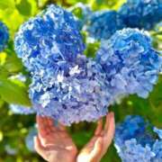 ヒメ日記 2025/06/01 21:36 投稿 若林 ANECOTE