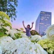 ヒメ日記 2025/06/11 23:38 投稿 若林 ANECOTE