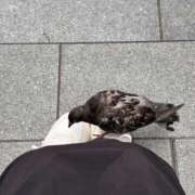 ヒメ日記 2025/06/16 13:50 投稿 若林 ANECOTE