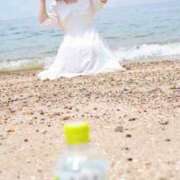 ヒメ日記 2025/07/19 12:03 投稿 若林 ANECOTE